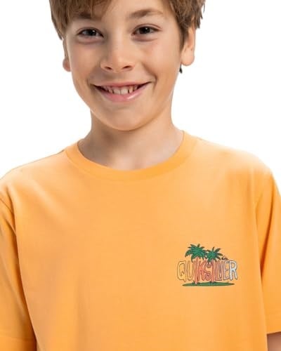 Quiksilver Ev Sunny Palms SS Yth Kısa Kollu Tişört Çocuk 0-24