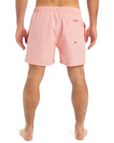 Quiksilver Everyday Deluxe Volley 15sörf şortuErkek