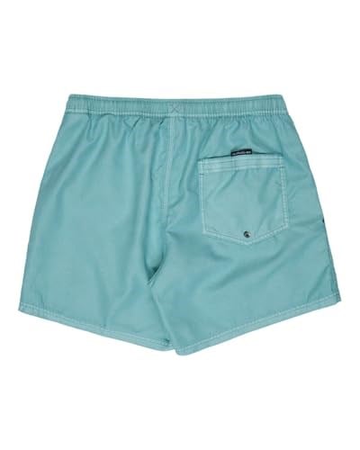 Quiksilver Everyday Surfwash Volley 15sörf şortuErkek
