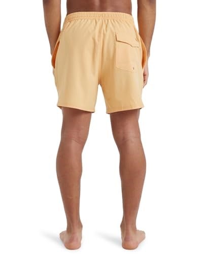 Quiksilver Surfsilk Solid Volley 16 Jam/Volley Erkekler
