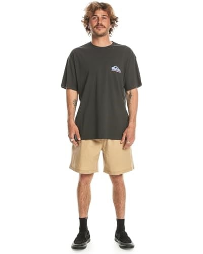 Quiksilver Take Us Back Logo Tişört Erkek