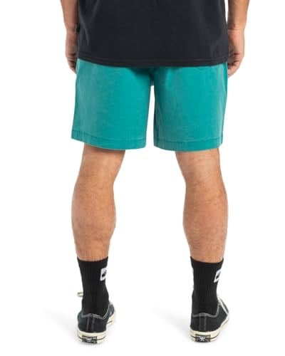 Quiksilver Taxer WS - Şort - Taxer WS - Erkek