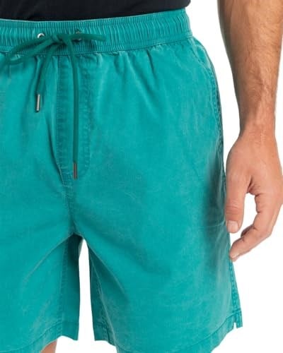 Quiksilver Taxer WS - Şort - Taxer WS - Erkek