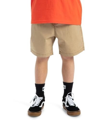Quiksilver Taxer Youth Şort Erkek çocuk