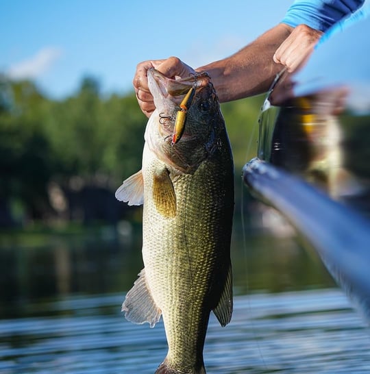 Rapala Jointed Sahte Balığı