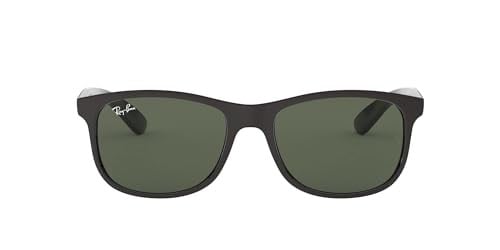 Ray-Ban Andy RB4202 Wayfarer güneş gözlüğü