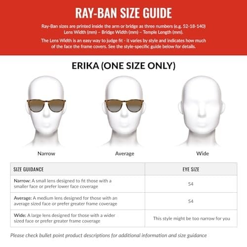 Ray-Ban Erika RB4171 C54