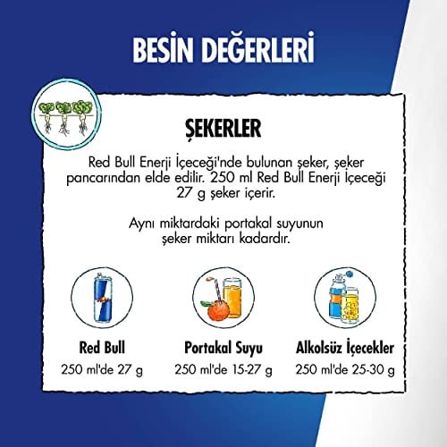 Red Bull Enerji İçeceği Hindistan Cevizi ve Açai 250 ml