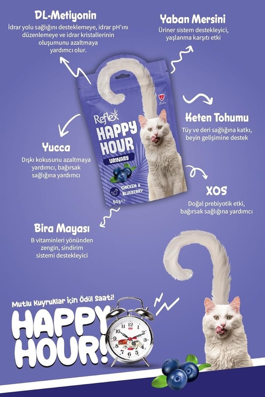 Reflex Happy Hour Üriner Sistem Destekleyici Kedi Ödül Mamasi 60 Gr 2li paket