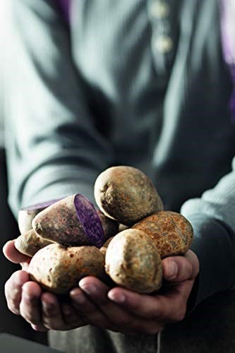 RÖSLE Patates Çatalı 12754 - Paslanmaz Çelik 17 cm, Kulp Uzunluğu 10 cm, Çatalın Üç İnce Ucu, Sıcak Patatesleri Soyarken Güvenli Bir Şekilde Tutar - Seçenekler: Pelüş patates çatalı, patates presi