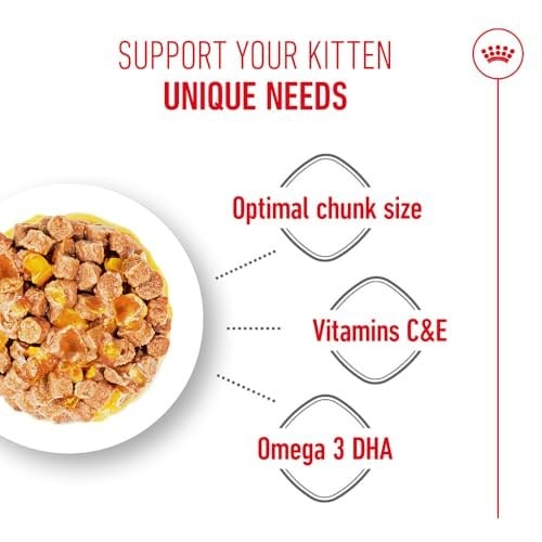 Royal Canin Kitten Jelly Pouch Yaş Mama, Yavru Kedi, 85 G x 12 Adet - Seçenekler: 1.02 kg (12 Count), 2.04 kg (24 Count), 0.4 kg, 2 kg, 4 kg...