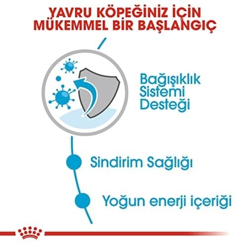 Royal Canin Mini Puppy Köpek Yaş Mama, 85 Gr