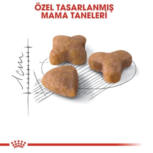 Royal Canin Sensible 33 Hassas Sindirimi Olan Kediler İçin Mama, 400 Gr - Seçenekler: 2 Kg, 15 Kg, 400 gr, 400 gr (2 paketi), 4 kg