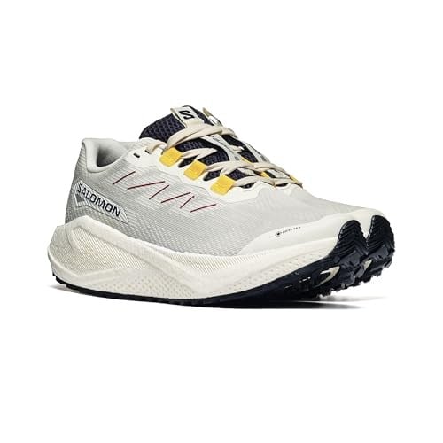Salomon Aero Blaze 3 Grvl Gore-Tex Unisex Outdoor Koşu Ayakkabısı L47974100 Beyaz