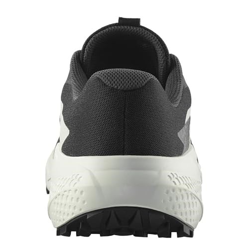 Salomon Alphaglide erkek yürüyüş ayakkabısı