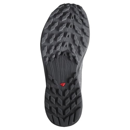 Salomon Ayakkabı Sense Ride 5 Gtx W Trail Koşu AyakkabılarıKadın