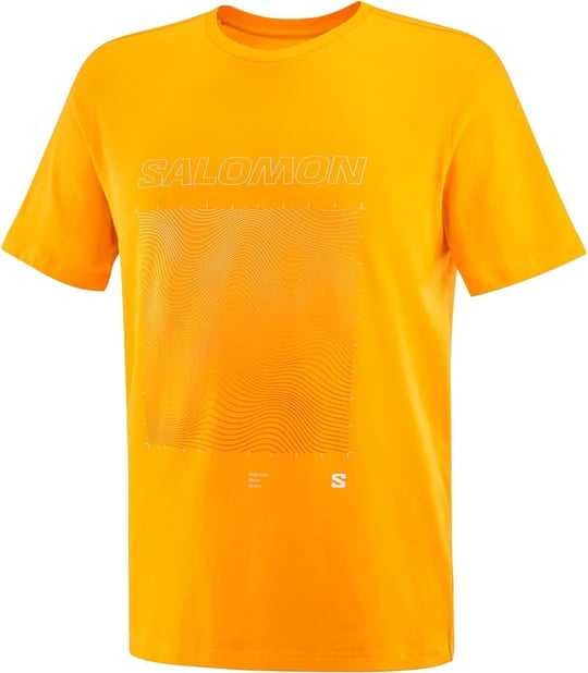 Salomon Lc2219200 Graphic Ss Tee M Kahverengi Erkek T-Shirt