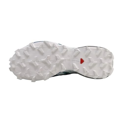 Salomon Speedcross 6 GTX W L47465900, spor ayakkabı