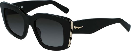 Salvatore Ferragamo Sf1024s 47352 Güneş gözlükleri Üniseks Yetişkin