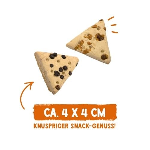 Sammy´s meyve kesimi, meyveli, pişmiş atıştırmalıklar, köpekler için, elma ve mürver ile, 1 x 800 g