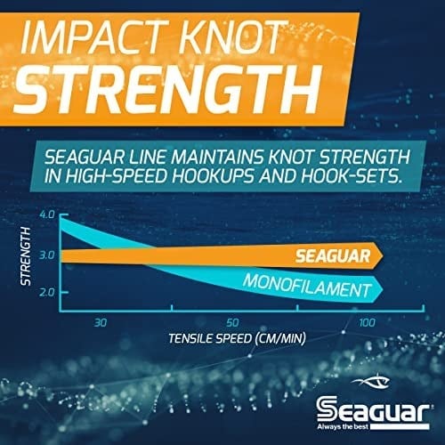 Seaguar Blue Label florokarbon olta ipi, orijinal Fluoro lideri, inanılmaz darbe ve aşınma direnci, hızlı batar, sağlamlık ve yumuşaklık için çift yapı