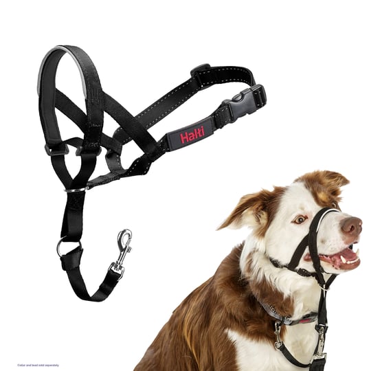 Şirket Hayvanlarının Halti Köpek Halter, Boyut 2 (35-48 cm), Siyah - Seçenekler: 2 (2 paketi)