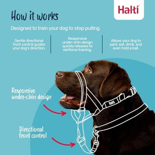 Şirket Hayvanlarının Halti Köpek Halter, Boyut 2 (35-48 cm), Siyah - Seçenekler: 2 (2 paketi)