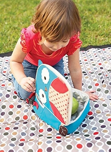 Skip Hop SKP-212104 Beslenme Çantası Baykuş, Çok Renkli
