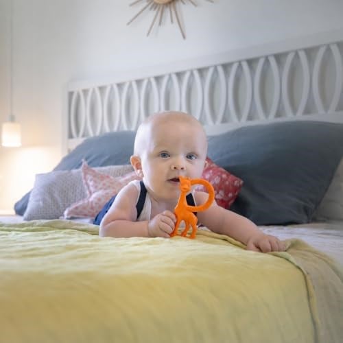 Sophie la Girafe 3056560103139 Diş Kaşıyıcı, Çok Renkli