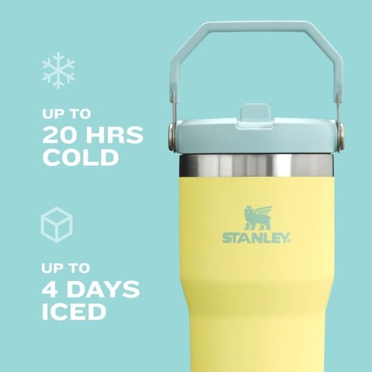 Stanley IceFlow Paslanmaz Çelik Bardak Vakum Yalıtımlı Su Şişesi Ev ve Araba için Yeniden Kullanılabilir Bardak Saman Sızdırmaz Kapaklı Soğuk 12 Saat Soğuk veya 2 Gün Buzlu, Tigerlily Erik, 850 ml /