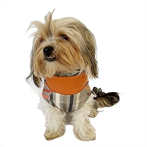 Stripe Orange Su itici Yağmurluk Köpek Yağmurluğu KARIŞIK ÇOK RENKLİ S