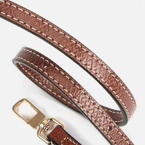Sunshine Smile Longchamp çantası için düzenleyici, kadınlar için omuz askısı, taşıma kayışı, mini çanta düzenleyici (Bej)