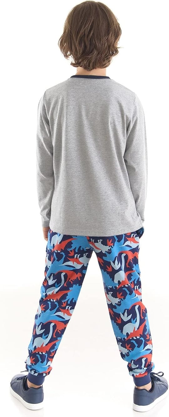 T-rex Info Erkek Çocuk T-shirt Pantolon Takım