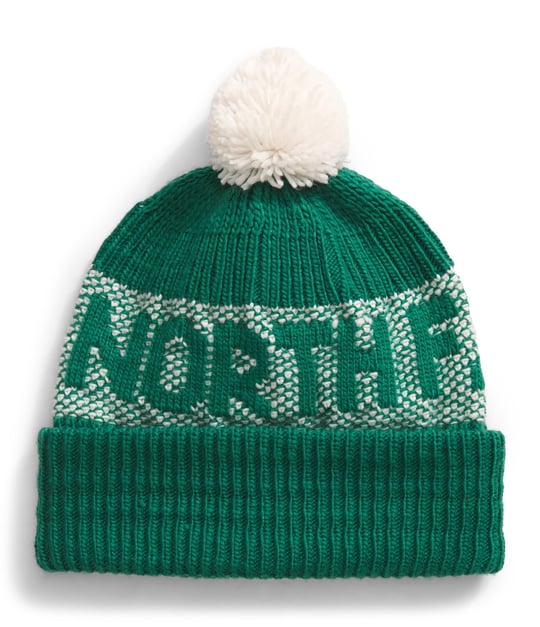 THE NORTH FACE Erkek Bere Retro Cabin
