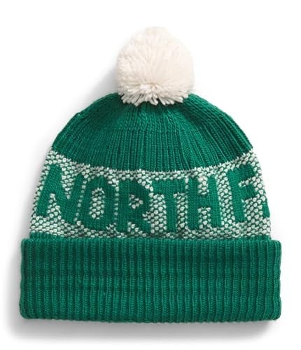 THE NORTH FACE Erkek Bere Retro Cabin
