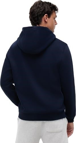 Tommy Jeans TJM REG S FLAG HOODIE Sweatshirt Erkek