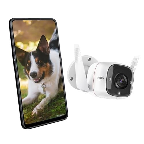 TP-Link TC65, 2K 3MP, Hareket Algılama, IP66 Su Geçirmez, 30m Gece Görüşü, Çift Yönlü Ses, Bulut/Yerel Depolama, Sesli ve Işıklı Alarm, Dış Mekan Wi-Fi/Ethernet Güvenlik Kamerası