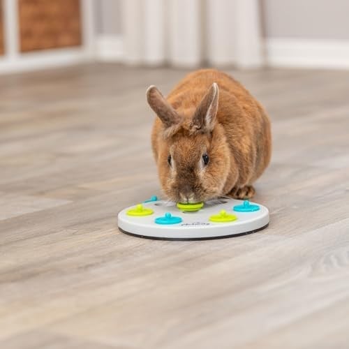 Trixie Kemirgenler İçin Zeka Oyuncağı, Plastik Ø 20 cm