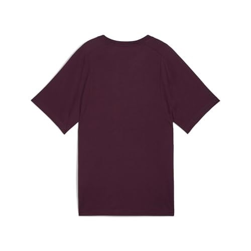 UGG Süet Bot, 41 EU, 1137391, Taba, Erkek