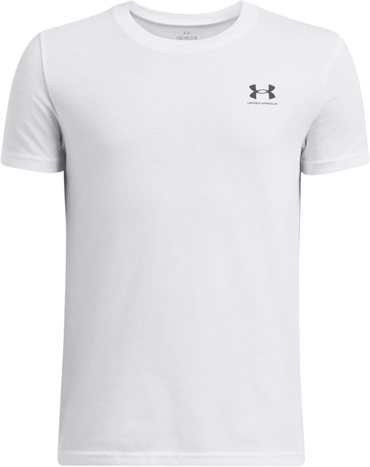 Under Armour Erkek