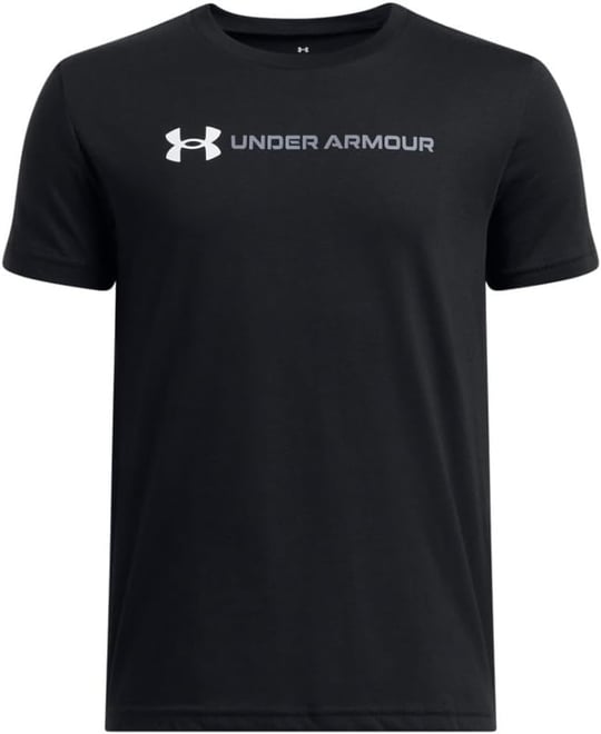 Under Armour Erkek