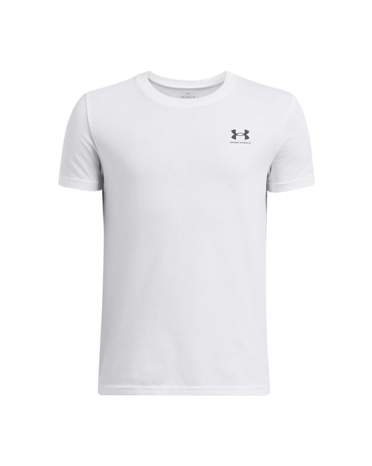 Under Armour Erkek