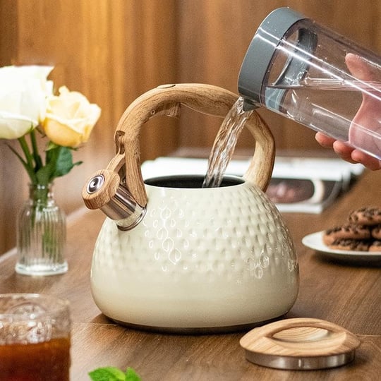 Valkyrie Modern Tasarım Düdüklü Kettle 3L Paslanmaz Çelik Ergonomik Su Isıtıcı Çaydanlık Islıklı