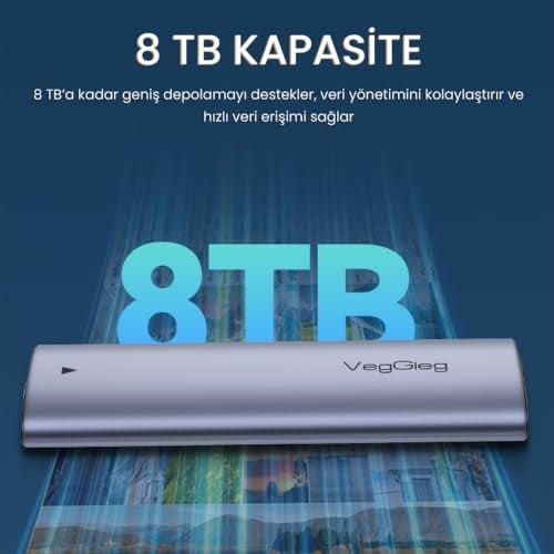 VegGieg 10Gbps USB 3.1 GeN2 M.2 SATA NGFF NVME SSD Disk Kutusu