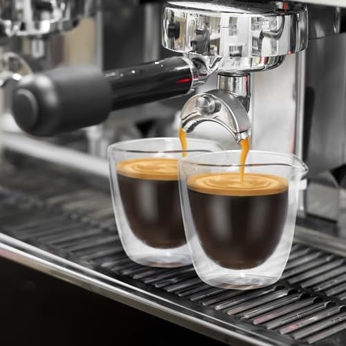 VENVENWEAVS Espresso Bardak Seti 4,Çift Duvar 2.5oz Bacalı Espresso Shot Bardakları,Espresso Makinesi İçin Espresso Aksesuarları,Şeffaf Espresso Shot Cam Hediye Seti