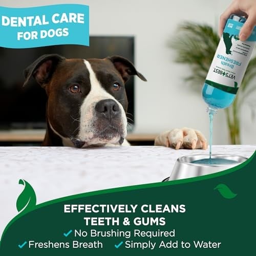 Vets Best Köpekler için Ağız Bakım Suyu 500 ml - Seçenekler: 1 stück (1er Pack), 100 g (1er Pack)...