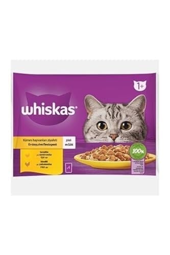 Whiskas Jellyde 1+ Yetişkin Tavuk Kümes Hayvanı Seçimi, 40 Torba, Yetişkin Islak Kedi Yemi, Megapack (40 x 85 g)