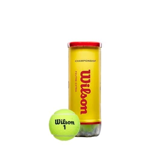 Wilson Champ Extra Duty Tennis Balls