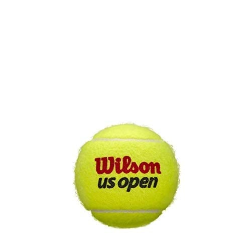 WILSON US Open Tennis Balls