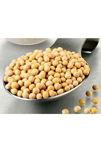 XUSHI GIDA Soya Fasulyesi ( Drıed Soybean) - 1000g